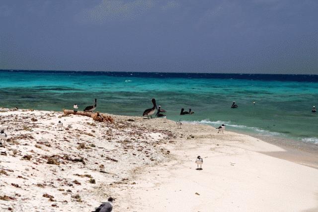 Laughing Bird Caye near Placencia, Belize.