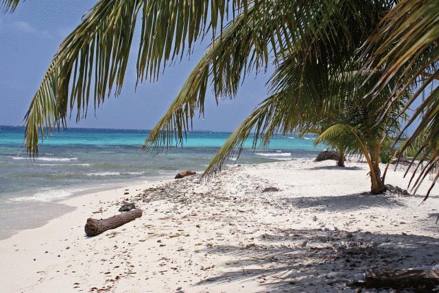 Another photo of Laughing Bird Caye