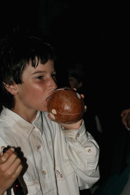 Paul drinks sweet coconut milk directly from the source.