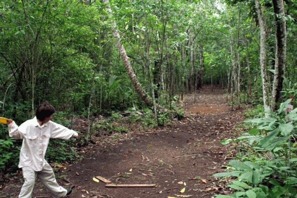 Paul displays his disc golf skills at the difficult TrekStop jungle course