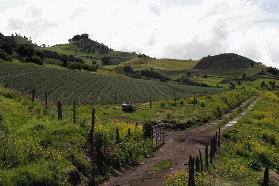 The rich, fertile farming area on the slopes of Volcan Irazu near Cartago.