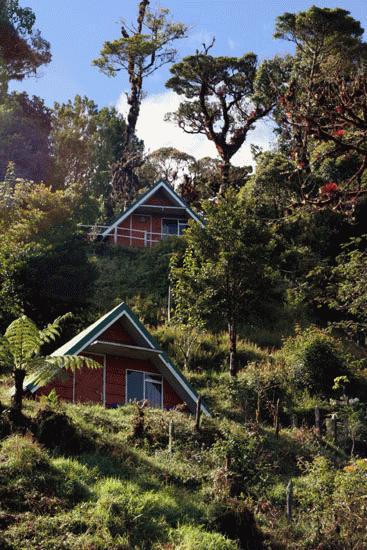 Serrano's cabins high in the Cerro del Meurte