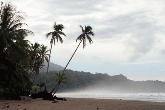 Parque Nacional Mariana Ballena near Uvita, Costa Rica.