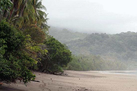 Pacific Coast, Costa Rica.  Dry Tropical.