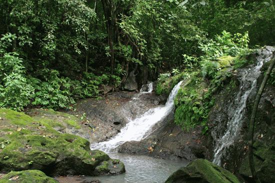 Upper falls in the jungle.