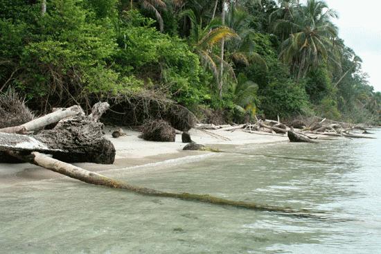 Our own private beach at Parque Nacional Cahuita