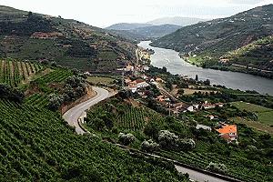 The world famous wine growing region along the Douro River.