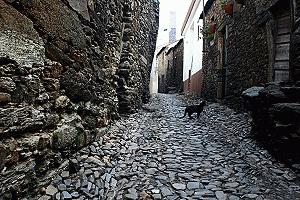 Street of the Cats in Sao Joao da Pesqueira