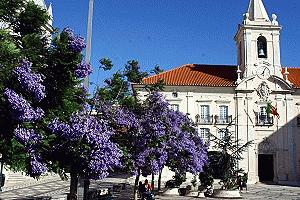 The main square in Aveiro