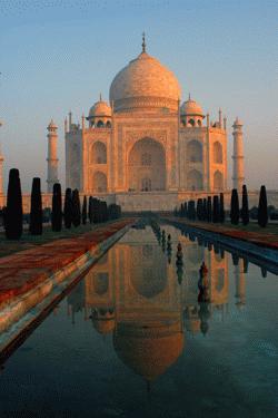 RTW0066  Morning light shining on Taj Mahal