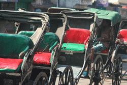 Walking rickshaw driver awaits his next customer in Kolkata