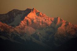 Kanchenjunga at sunrise.