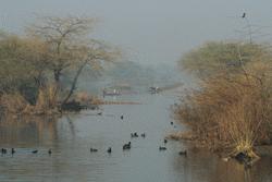 Keoladeo-Ghana is an incredible bird sanctuary with birds migrating from Mongolia, Europe, China and Asia.