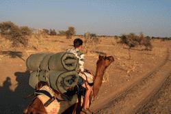 Peter races ahead. Peter's skills even impressed our lead camel driver