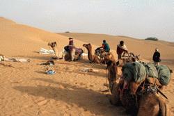 Our group gets ready for a long second day of camel riding