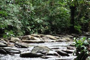 This was our trail for 2 kilometers during the first day of our trek