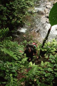 Over the next 3 days, the trail would be up and down and require us to use our hands to climb or descend these very steep trails.