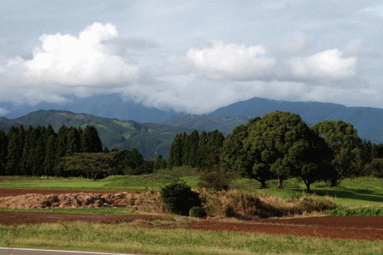 An archeological site in Saito