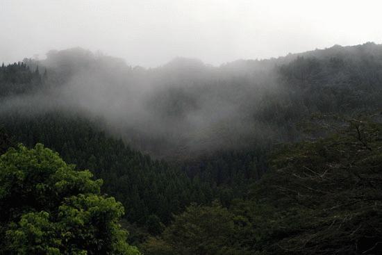 We spent an incredible night on the top of the mountains outside of Miyazaki.  Very good hiking.