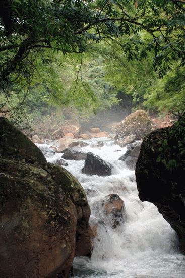 Our morning river hike