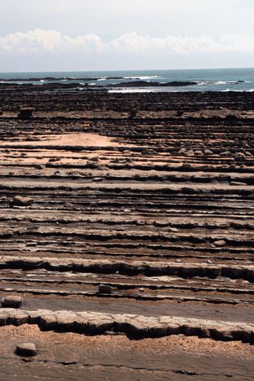 The island of Aoshima, surrounded by a corrugated, natural reef.