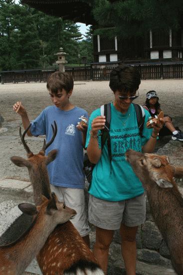 Therese and Peter encounter the deer of Nara