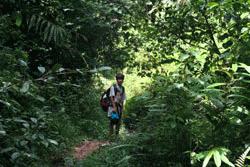 Paul waits for the gang before proceeding deeper into the jungle