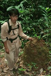 Assistant guide Tha, points out a termite hill and places a leaf for good travelling on the mound