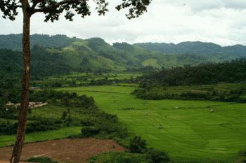 The few areas of level terrian are usually occupied by rice paddy mosiacs