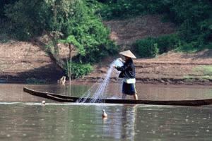 Net fishing became more prevelent near the Mekong