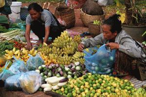 The morning food market in Luang Prabang