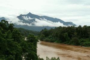 Passing over one of the many sediment ladened rivers during our jungle train ride.