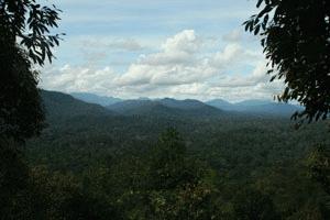 The view from Bukit Teresek looking north into Taman Negara, the home of Tigers, Rhinos, Elephants, and Leopards