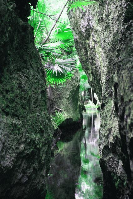 cenote passage near xelha