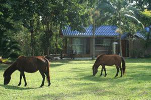 We were grateful to spend several days at Bill's friends, Boon, farm.