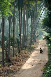 A lonely road through Boon's farm.