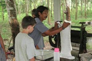 Boon demonstrates of Paul how rubber is pressed and dried to prepare for shipment to the factory