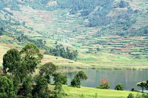 The terrace, green landscape surrounding Lake Bunyoni is magical.