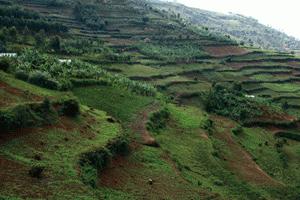 The green terraced landscape surrounds Lake Bunyoni