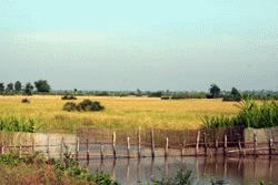 Irrigation canals and rice fields dominated the scenery on both sides of the road