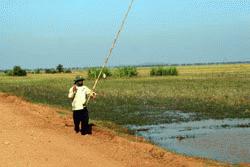 Fly fishing the canals?