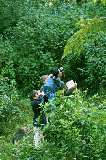 Peter, Paul and Jorge search the oak cloud forest for the resplendent quetzal.