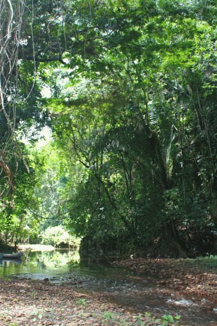 Pine Ridge Mountains, Western Belize