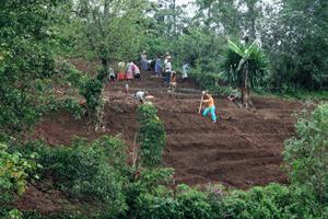 The one acre plot of Victory Community Gardens. The vegetables grown here will provide free food for the poorest in Kabale.