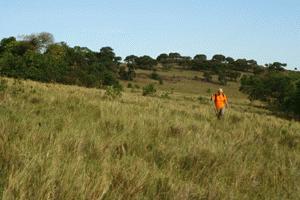 Carrol walks the 2 kms to work to help clear the drinking water source spring for the Enoosaen water project