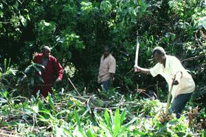 Joshua, Sonny and John begin the hard work of uncovering the spring source.