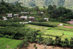 Agriculture and rice production sustain most of the villages on the island.