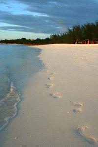 Finally... the beach!