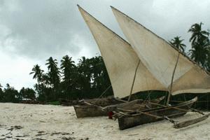 These boats are locally called dhows and are often seen fishing or transporting people around the island