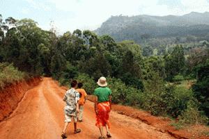 Therese, Peter and Paul take a road hike near Lostheo in the Usambara Mountains